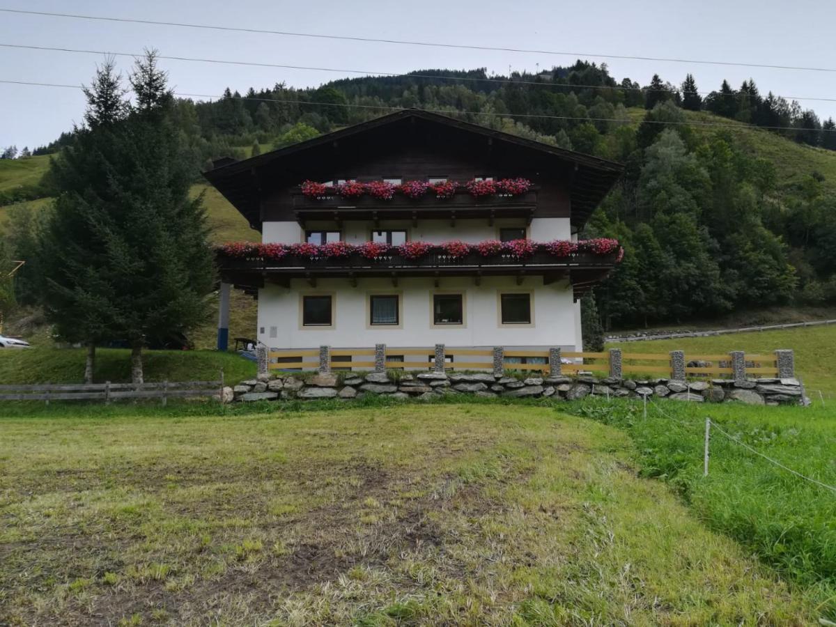 Seidl 1 *